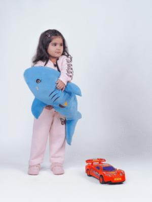 Pink Butterflies- Zipper With Trouser